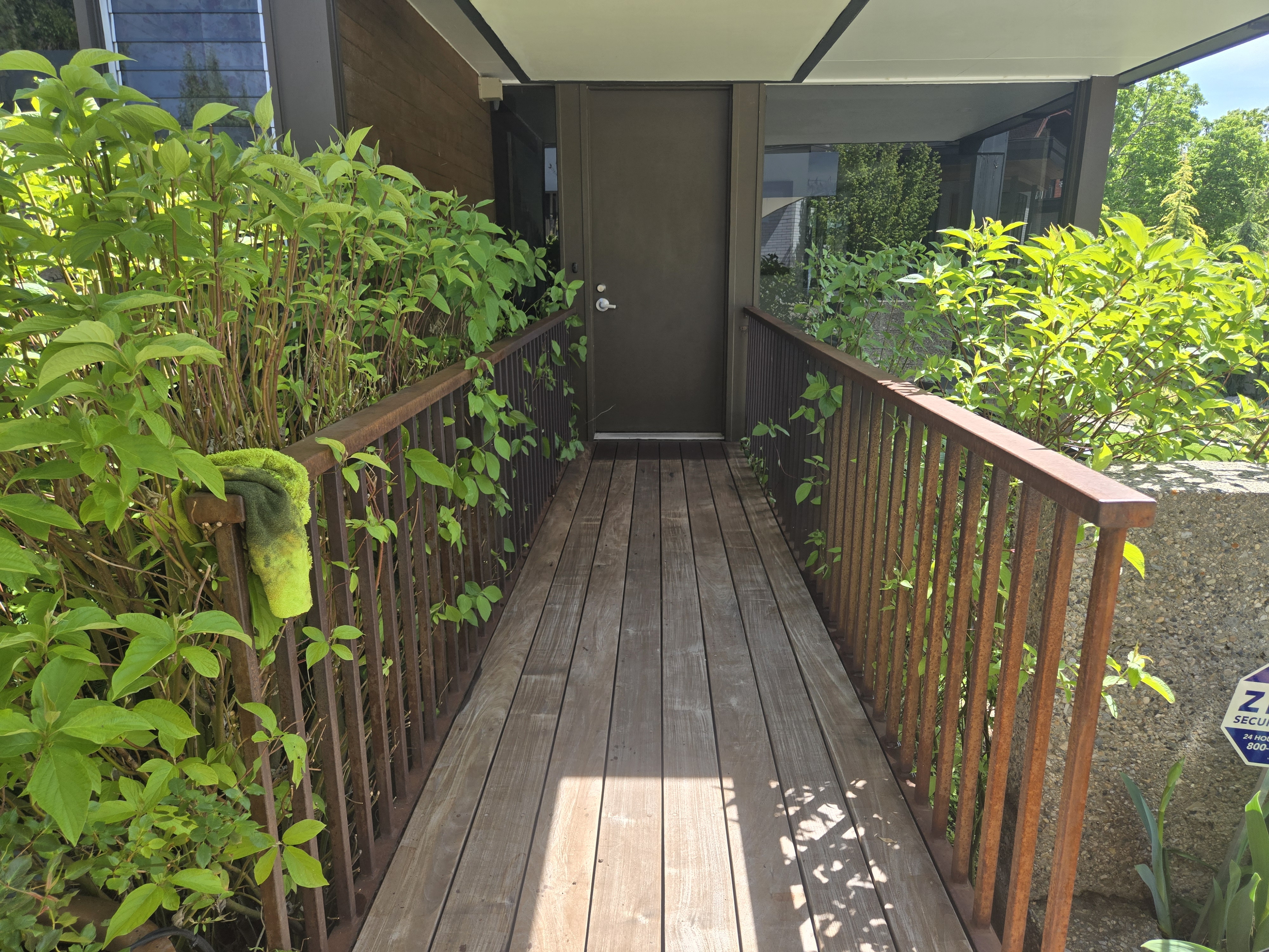 Ipe deck after power washing — rich warm wood restored